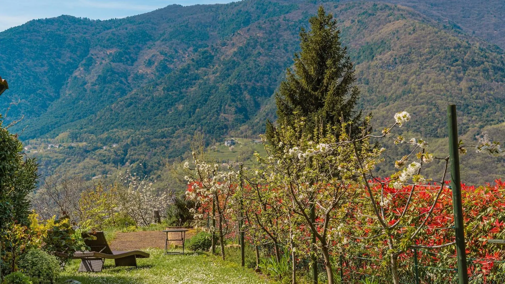 Casa Giacomo - Wunderschoenes Landhaus Am Gardasee-Tremosine Pieve  Italy